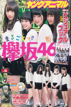 杉杉来了电视剧全集免费观看完整版