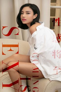 东京猫猫