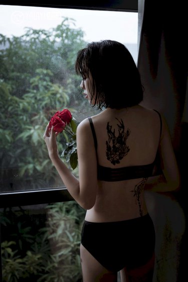 sunflower动漫在线观看