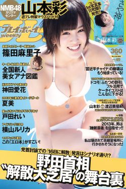 日本成人激情视频